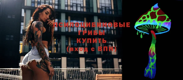 прущий лед Алзамай