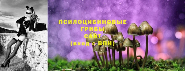 прущий лед Алзамай