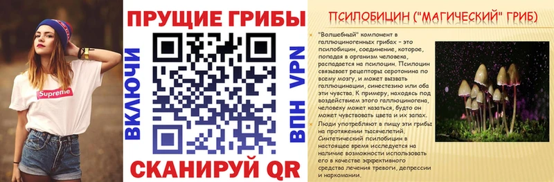 Галлюциногенные грибы Psilocybe  где купить наркоту  Туймазы 